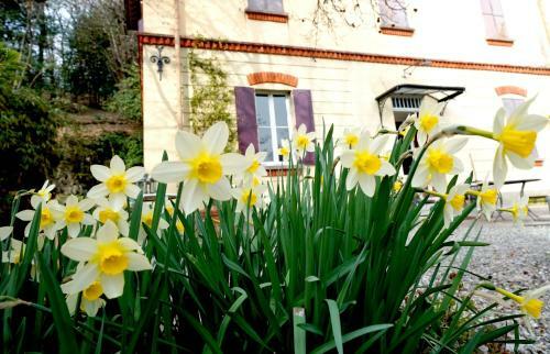 Bed & Breakfast I Faggi Di S. Giorgio