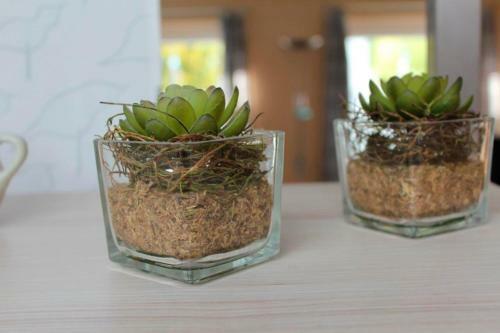 Apartamento Ferienwohnung Carstensen Nr1