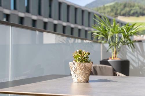 Apartamentos Nice Living