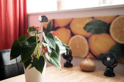 Apartamento White Tower Of Love