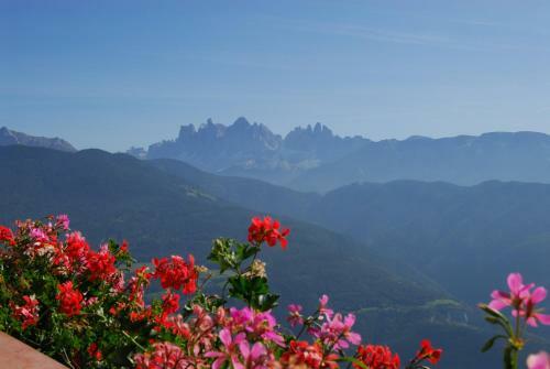 Bed & Breakfast Wegscheiderhof