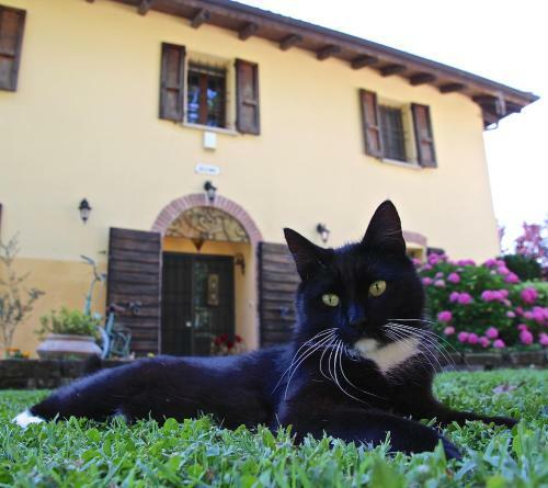 Bed & Breakfast Casale La Decima