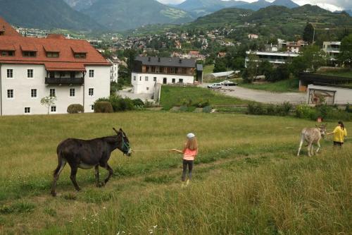 Agroturismo Vintlerhof
