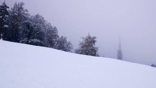 Agroturismo Vintlerhof