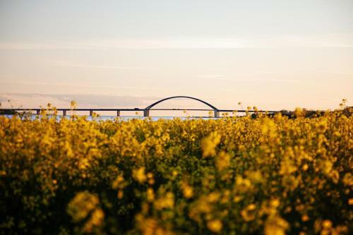 Apartamento Ferienwohnung Lee