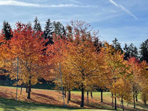 Apartamento App. Franziska Villa Fabbrani