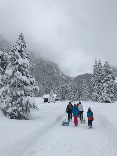 Apartamento App. Franziska Villa Fabbrani