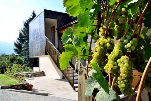 Apartamento Appartements Mayrhof