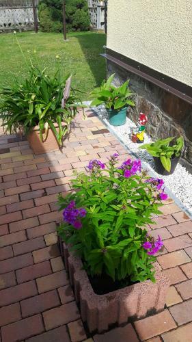 Apartamento Ferienwohnung Liebscher