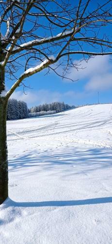 Apartamento Ferienwohnung Liebscher