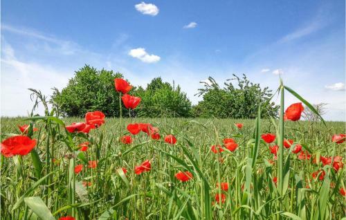 Awesome Home In Busso With Wifi And 2 Bedrooms