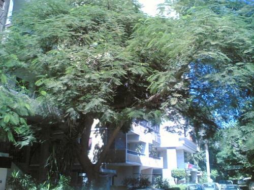 Apartamento Lovely 1br Complete Flat In A Central Location Cairo,
