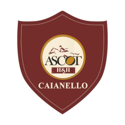 Bed & Breakfast Ascot Holiday Home
