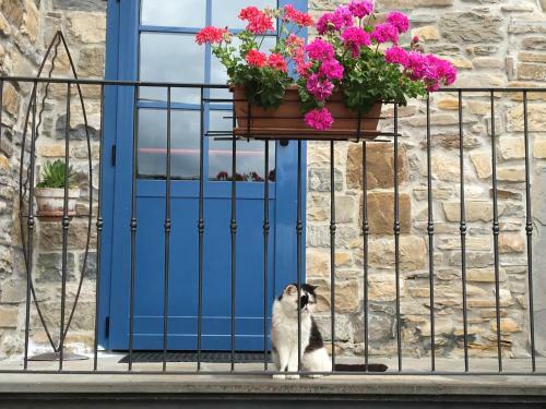 Bed & Breakfast La Locanda Nel Vento