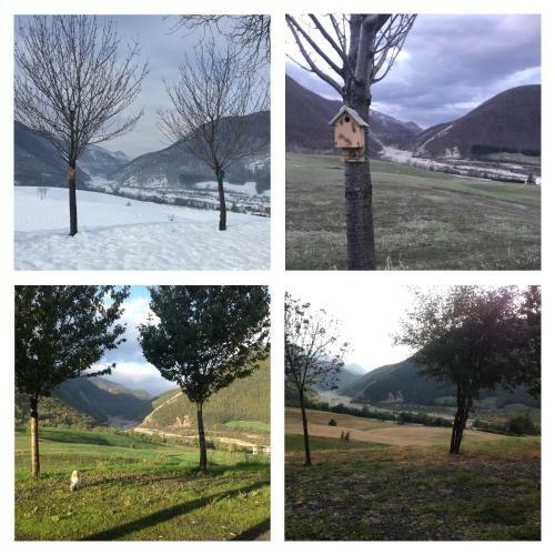 Bed & Breakfast La Locanda Nel Vento