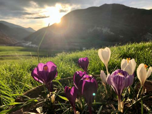 Bed & Breakfast La Locanda Nel Vento