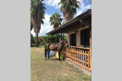 New Ranch Club Bungalow 2, 3 Min Del Mar
