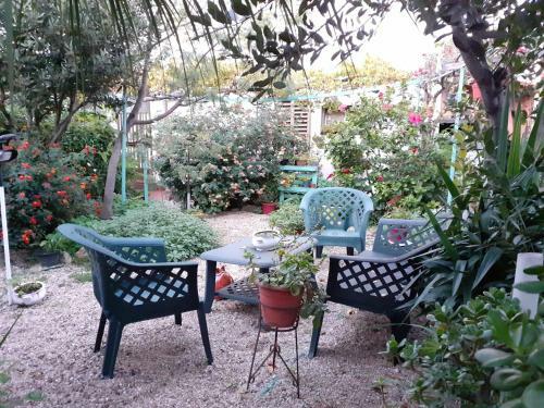 Bed & Breakfast Paui