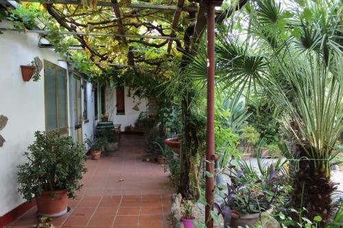 Bed & Breakfast Paui