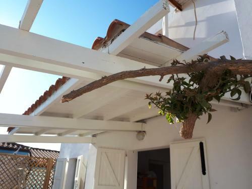 Calasetta Casa Al Mare