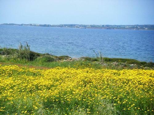 Salina Holiday Home