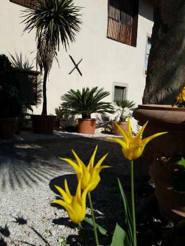 Hostal Ansitz Strengherrnhof