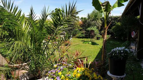 Bed & Breakfast Chambres Du Petit Bonheur