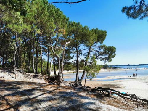Apartamento Appartements Au Coeur Du Golf