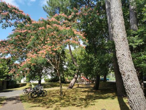 Apartamento Appartements Au Coeur Du Golf