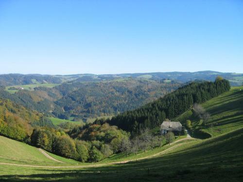 Hotel Schwarzwaldgasthof Zur Traube