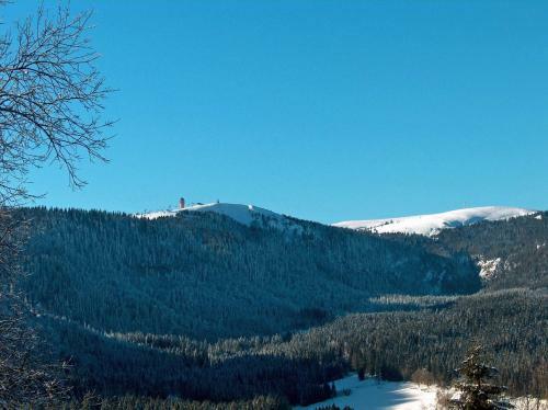 Hotel Schwarzwaldgasthof Zur Traube