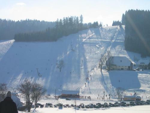 Hotel Schwarzwaldgasthof Zur Traube