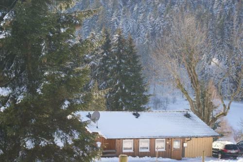 Hotel Schwarzwaldgasthof Zur Traube