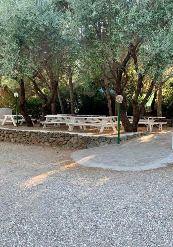 Camping Car Palmasera