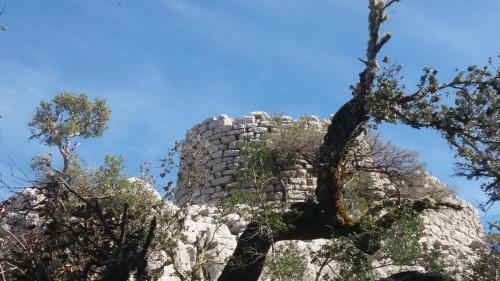 Apartamento Sa Dommo De Mammai