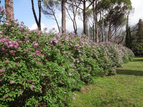 Villa Negri Arnoldi Alla Bianca
