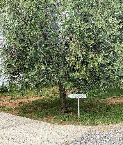 Apartamento 43� Parallelo