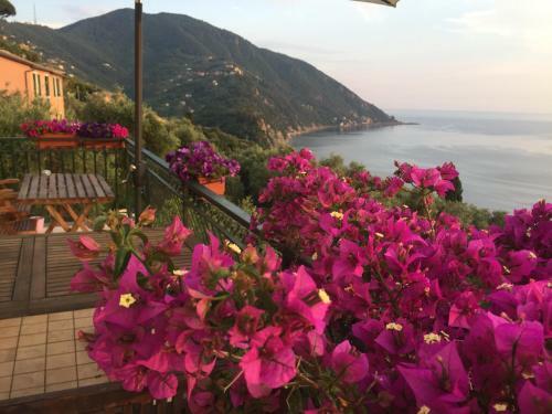 B&B Case Rosse