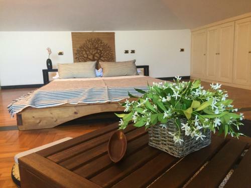 B&B Case Rosse
