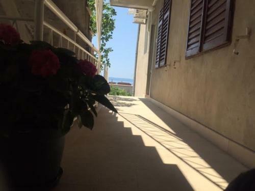 Apartamento Pavlinovi? Jure