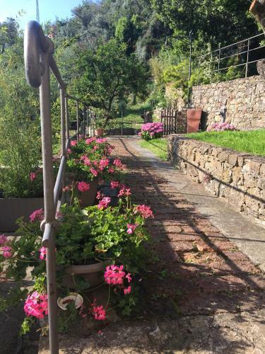 Villa Cielomare