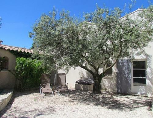 Gites En Provence Proche Avignon