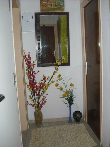 Hostal Cassa