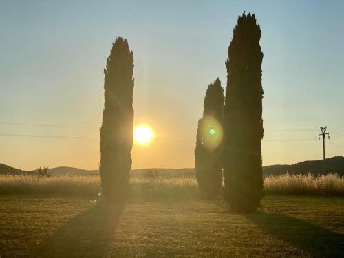Bed & Breakfast Casale Artemisia Capalbio
