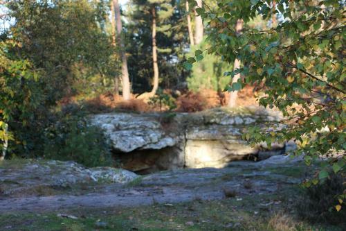 Bed & Breakfast L'alisier Chantant