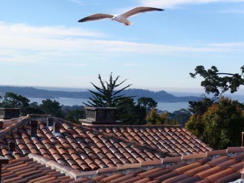 Hotel Horizon Inn & Ocean View Lodge