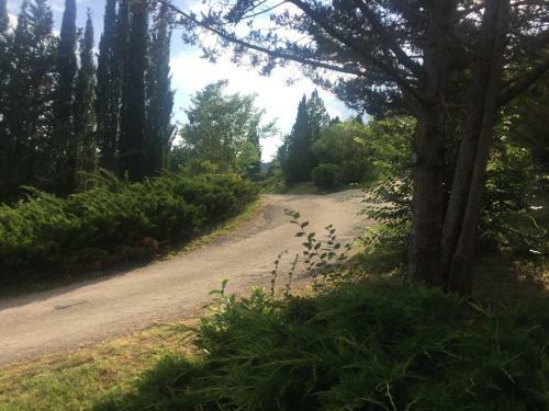 Bed & Breakfast Casale Sant'elia