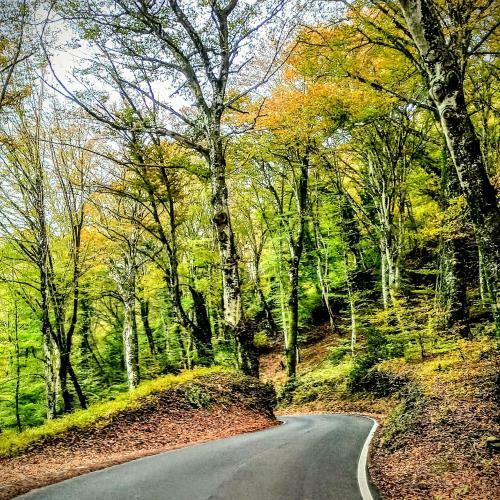 Apartamento Casa Rosarella