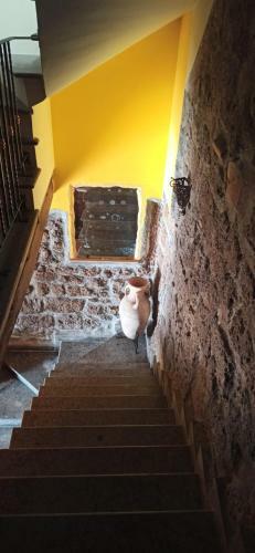 Apartamento Casa Rosarella