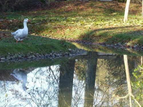 Le Domaine Des Jardins De Bracquetuit